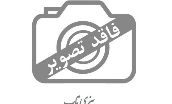 تعمیر رسیور فروش رسیور در تهران